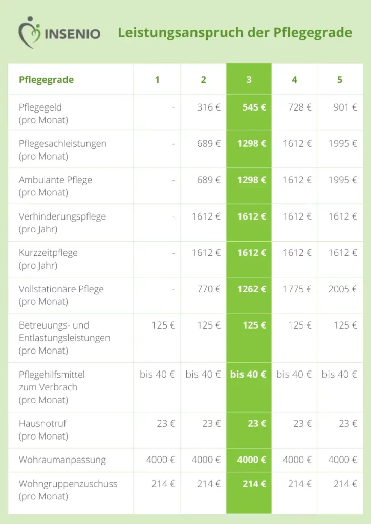 Pflegegrad 3 Infografik