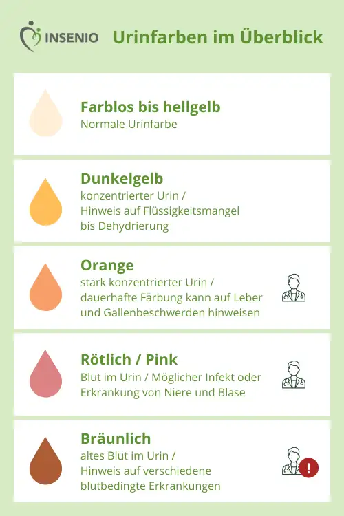 Schaubild Infografik Urinfarben