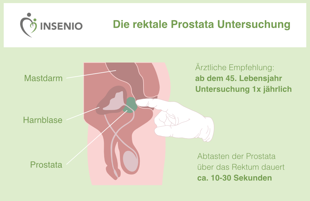 Infografik Prostatauntersuchung